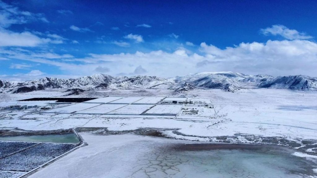 ŦԼ����(�й�)���޹�˾����